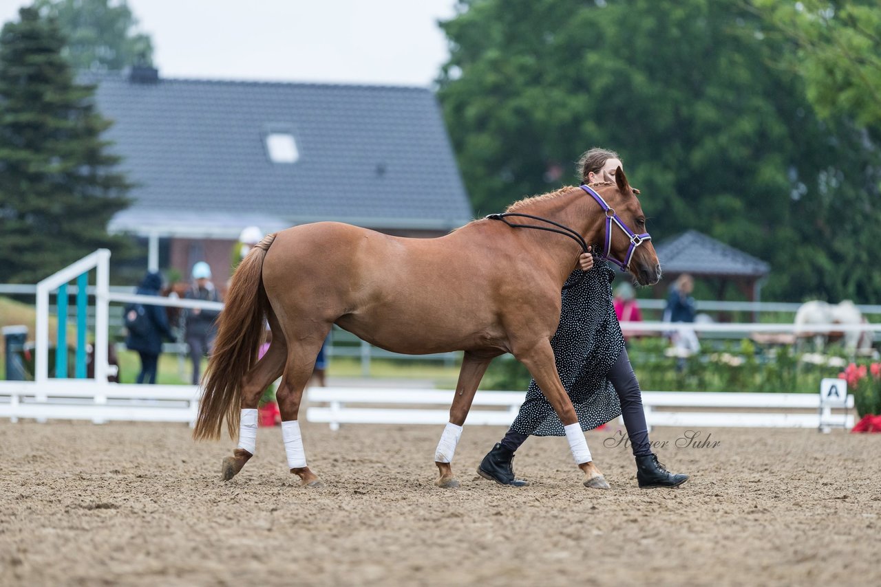 Bild 159 - Pony Akademie Turnier